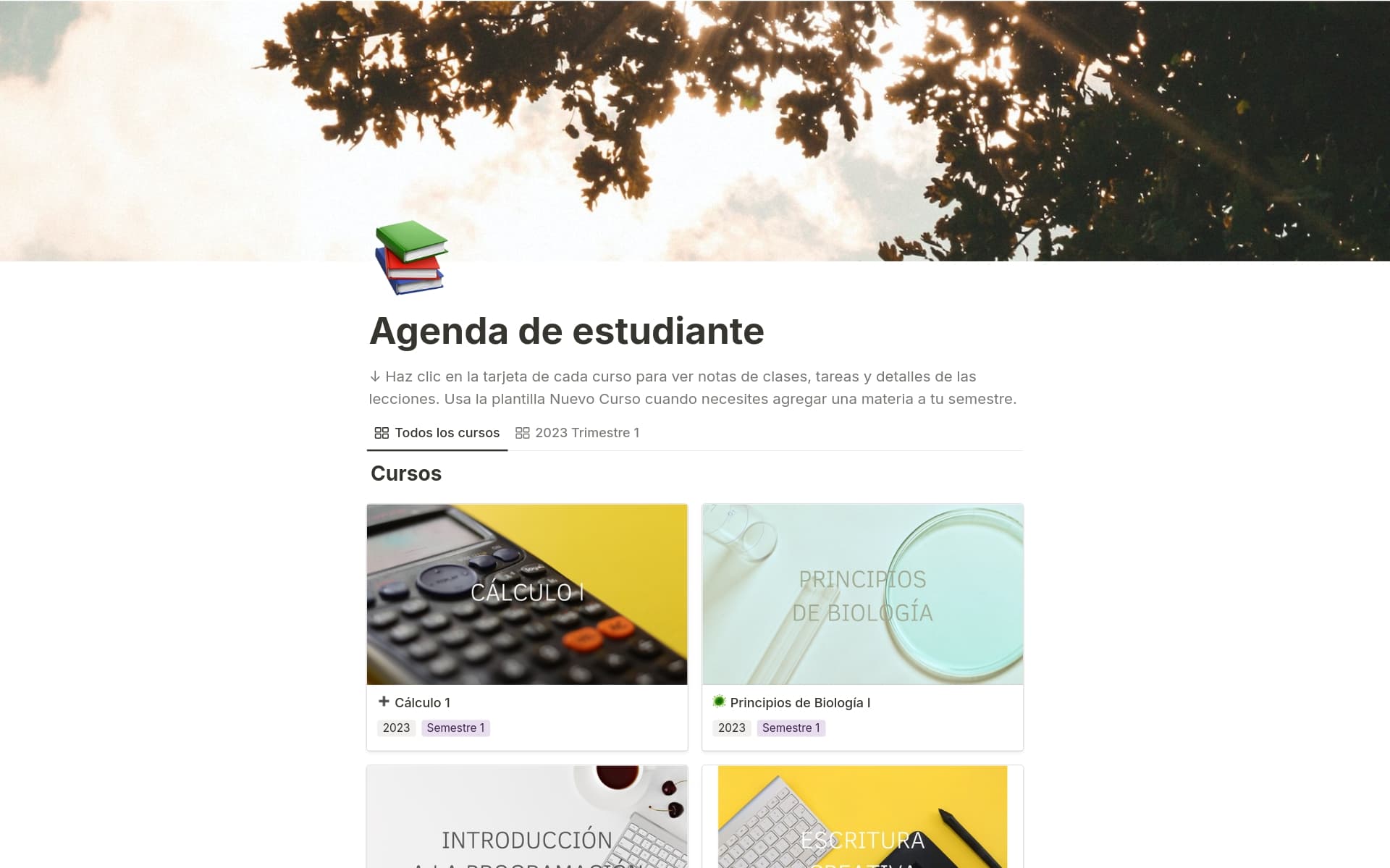 Imagen para achieve-more-this-semester